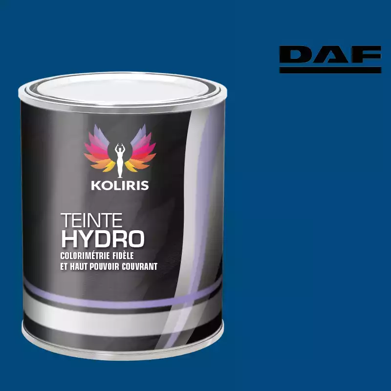 Peinture utilitaire - camion hydro Daf