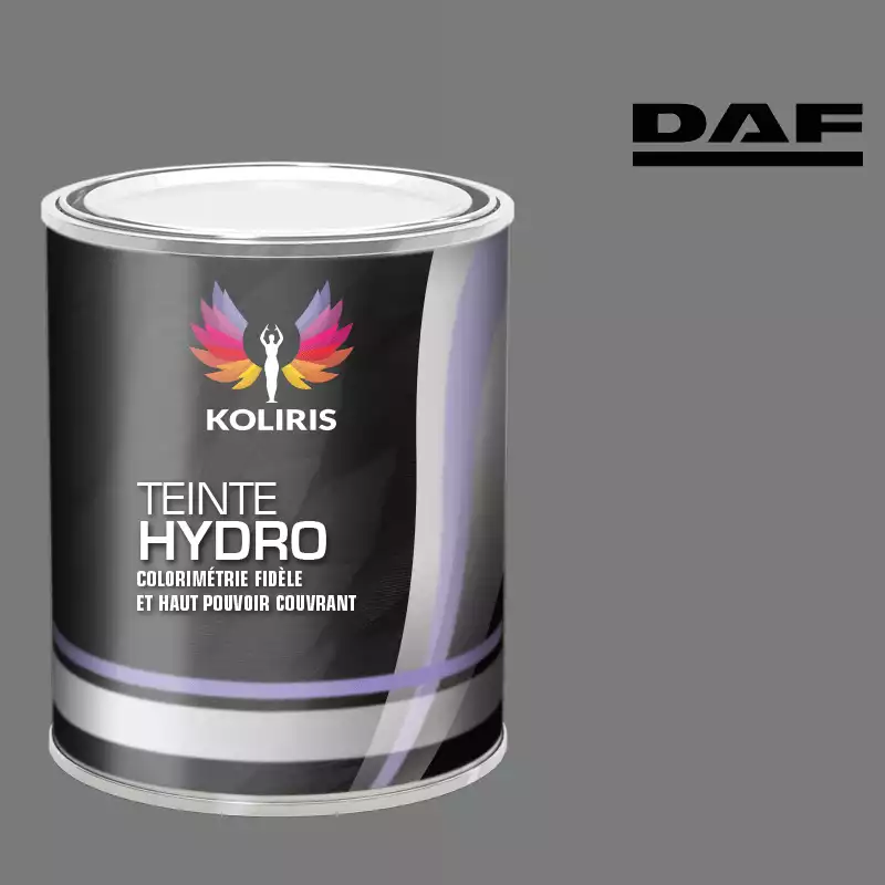 Peinture utilitaire - camion hydro Daf