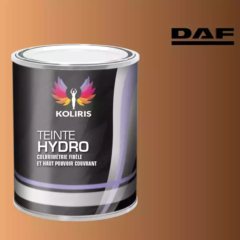 Peinture utilitaire - camion hydro Daf