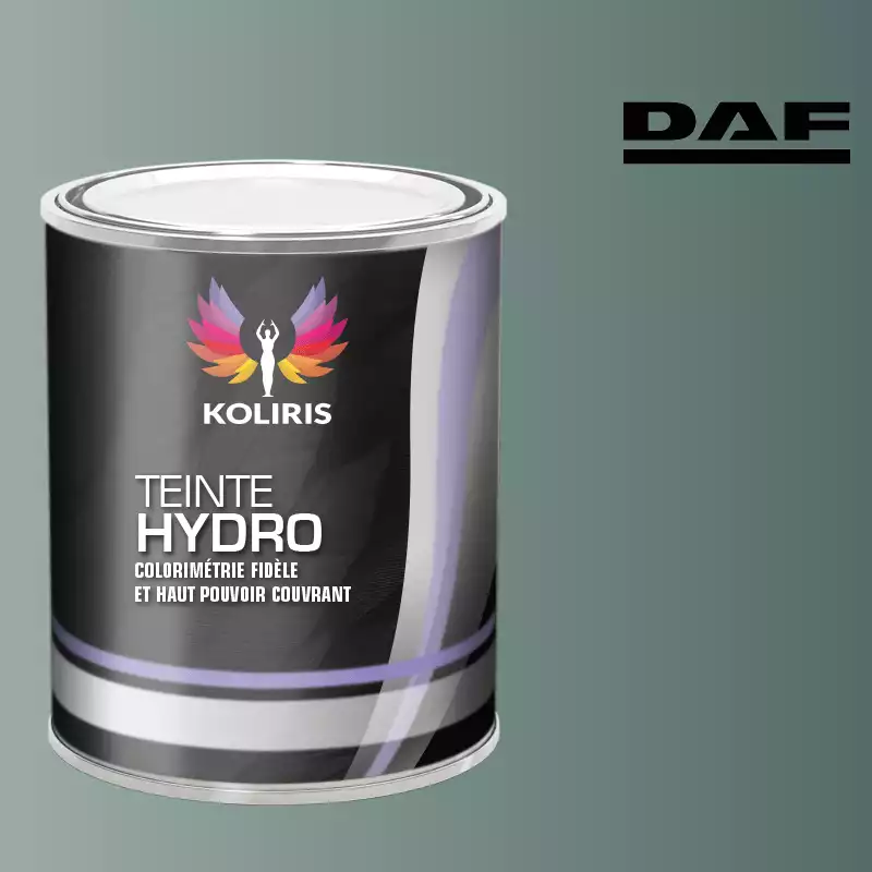 Peinture utilitaire - camion hydro Daf