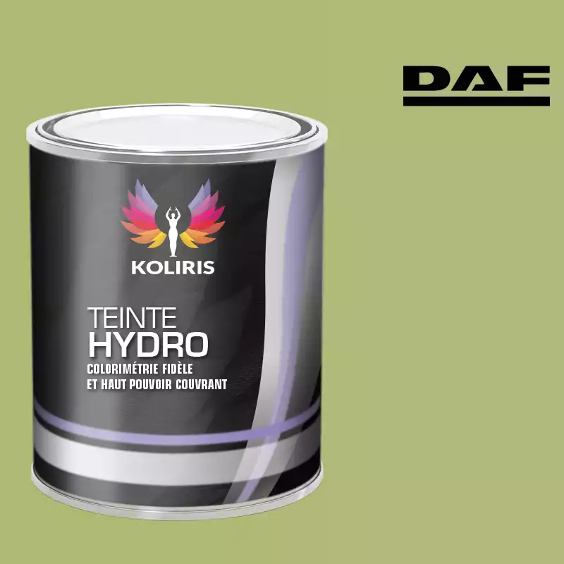 Peinture utilitaire - camion hydro Daf