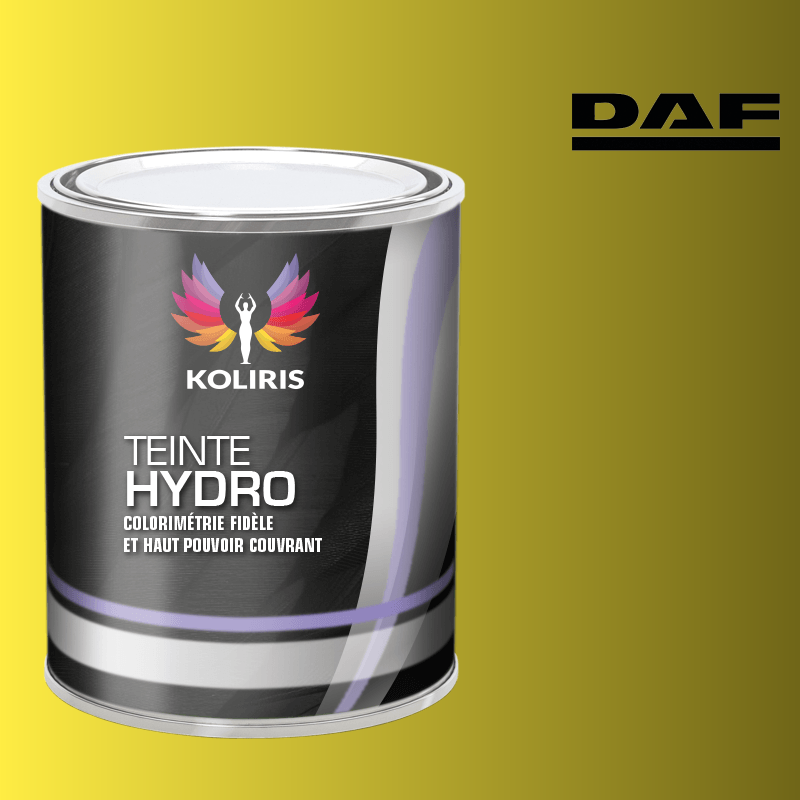 Peinture utilitaire - camion hydro Daf