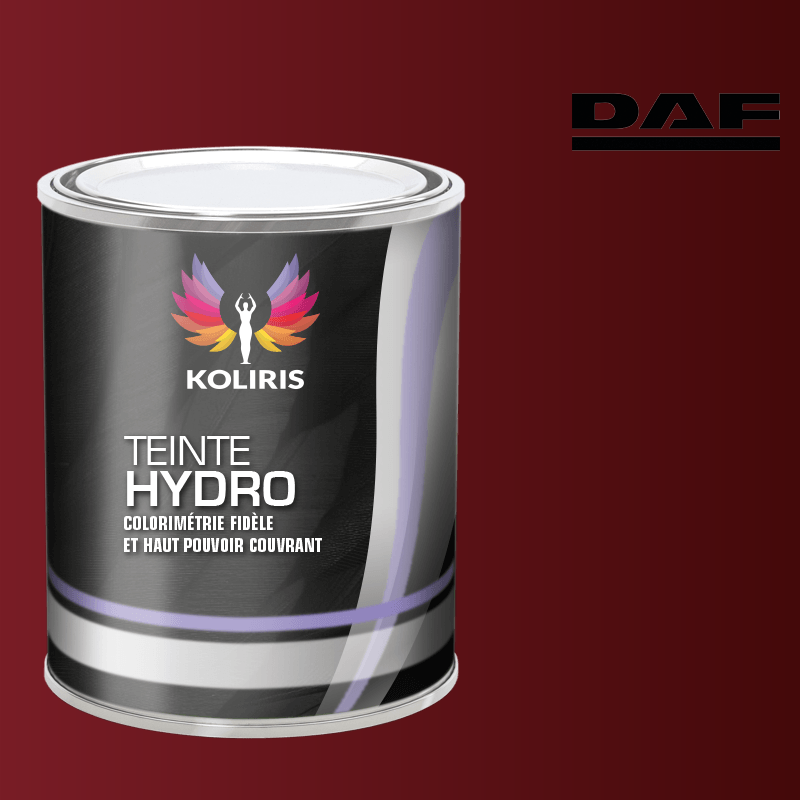 Peinture utilitaire - camion hydro Daf