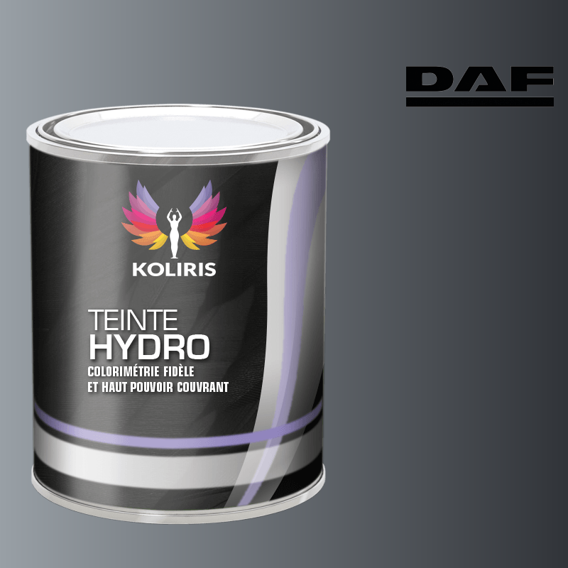 Peinture utilitaire - camion hydro Daf