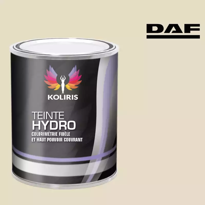 Peinture utilitaire - camion hydro Daf