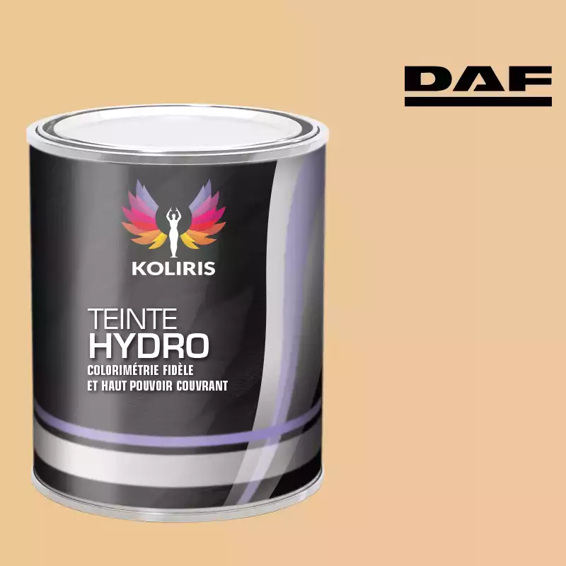 Peinture utilitaire - camion hydro Daf