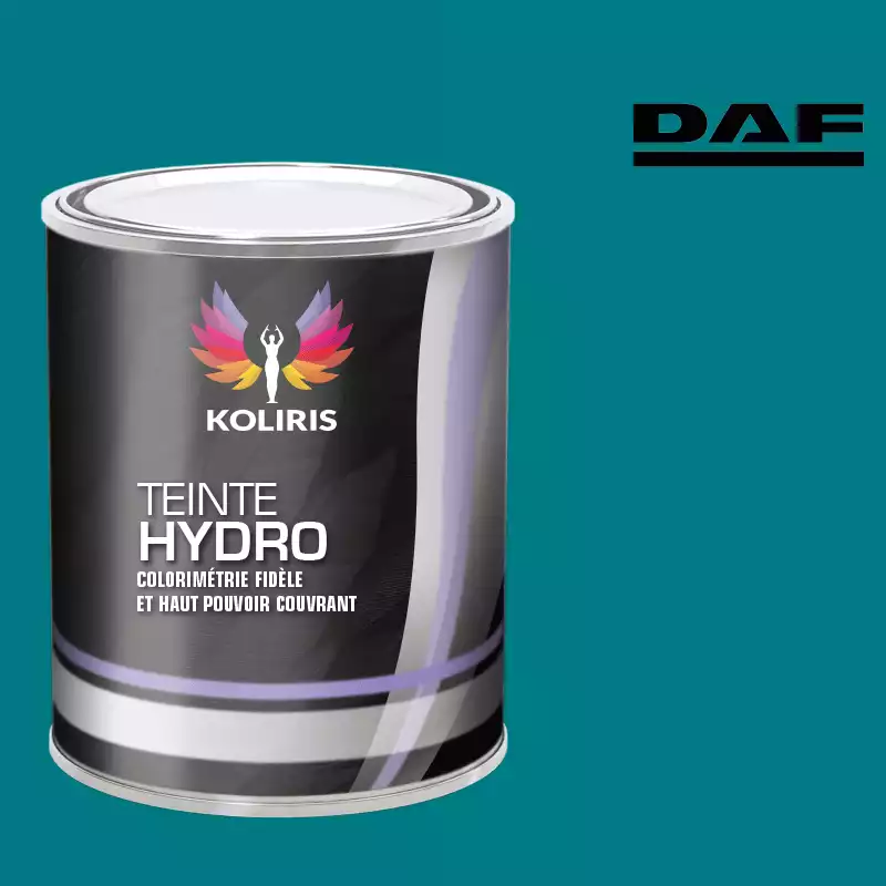 Peinture utilitaire - camion hydro Daf