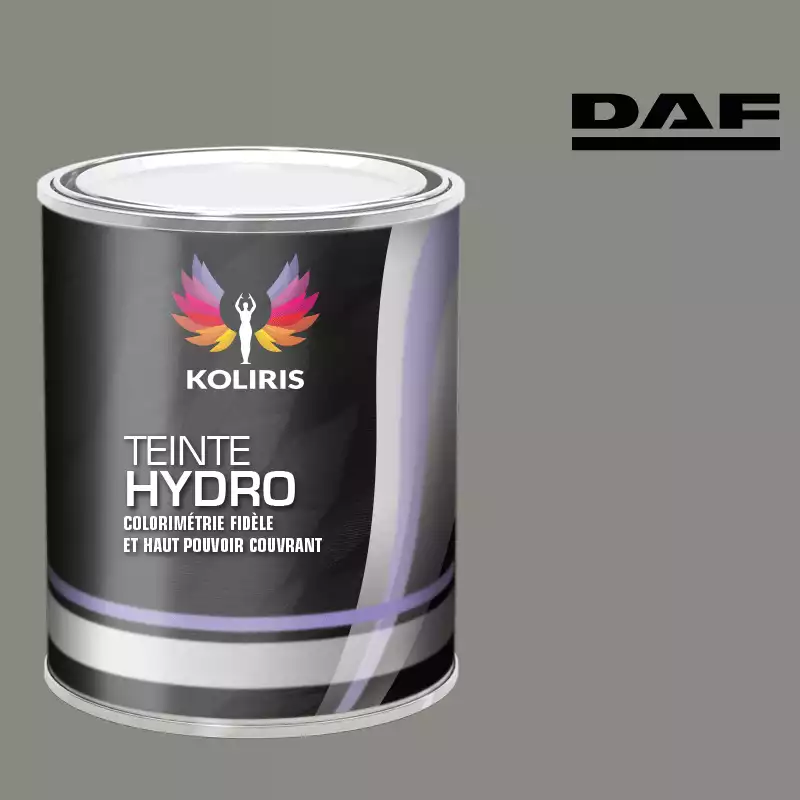 Peinture utilitaire - camion hydro Daf