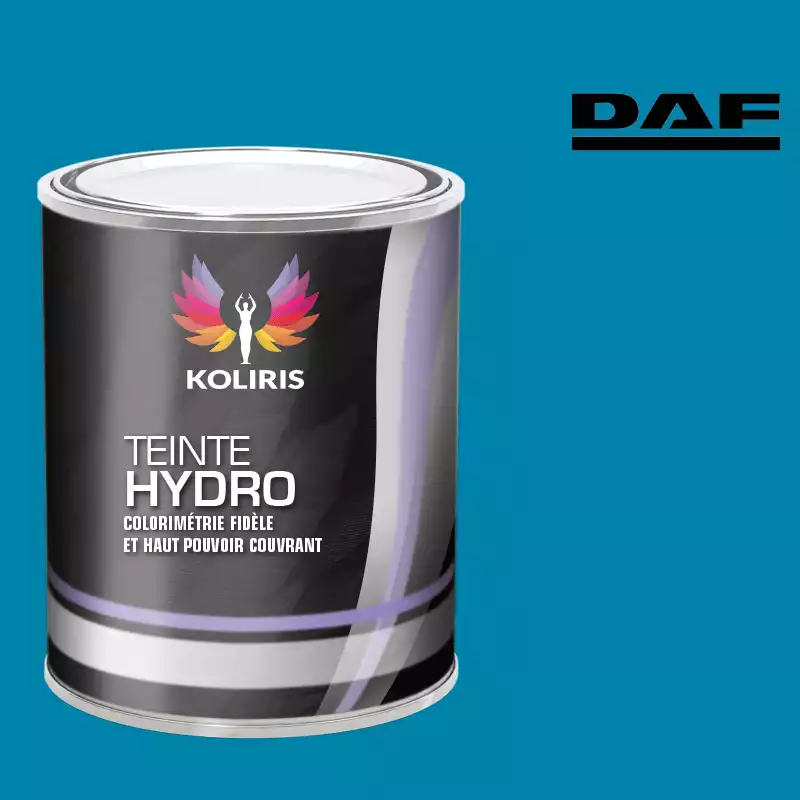 Peinture utilitaire - camion hydro Daf