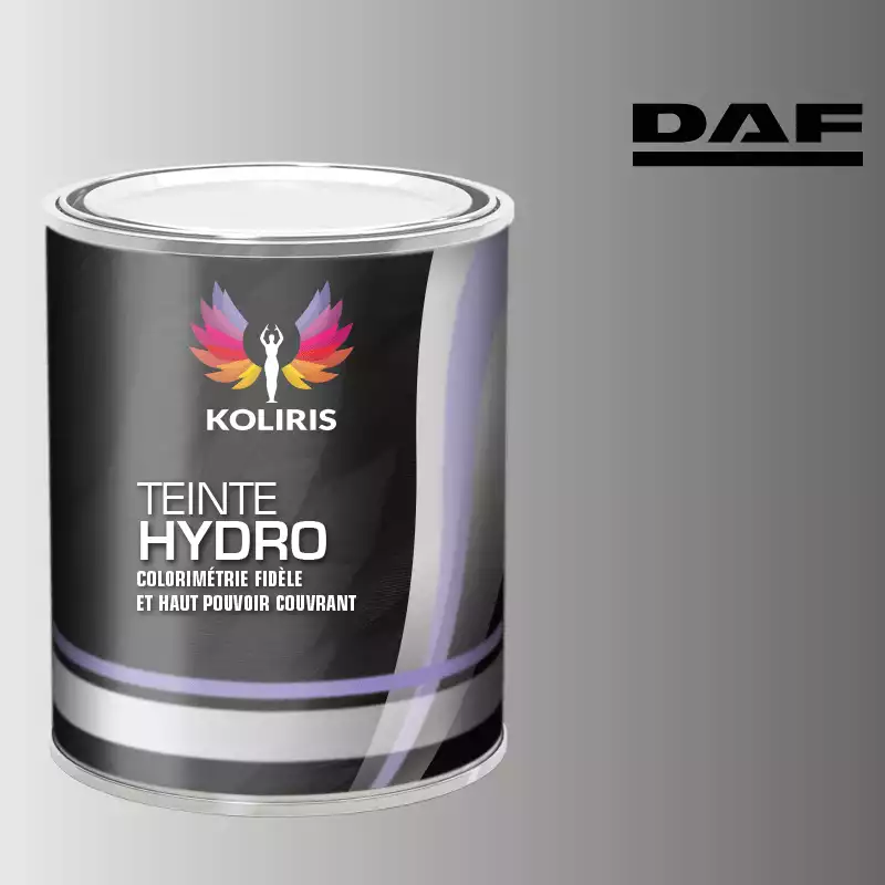 Peinture utilitaire - camion hydro Daf