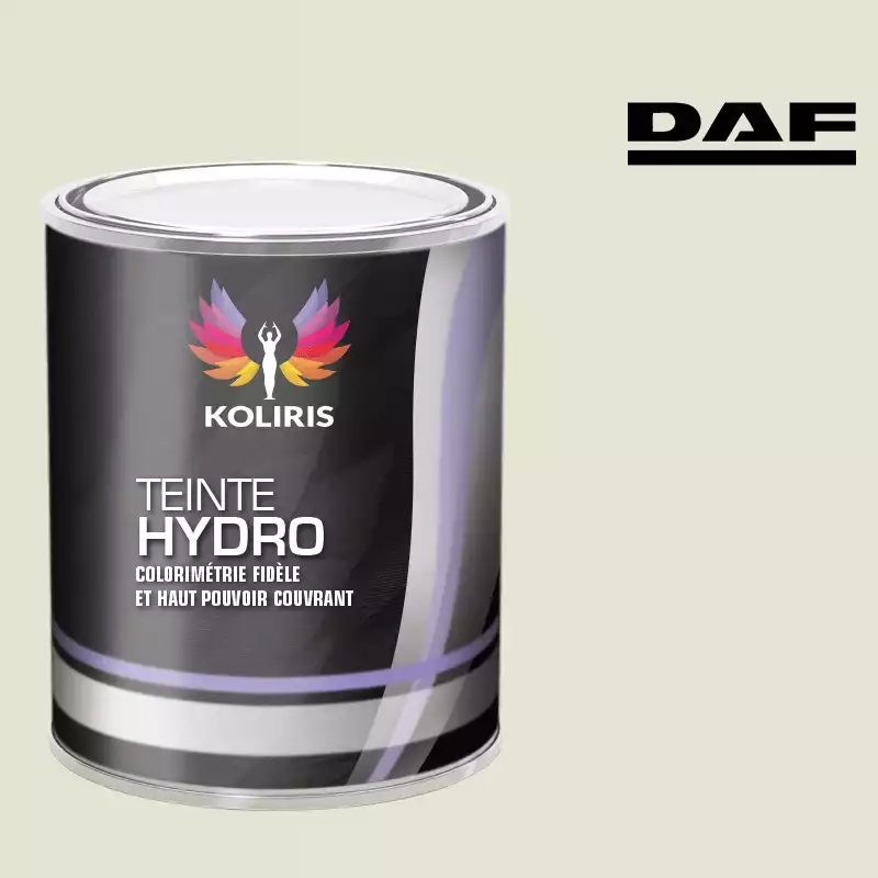 Peinture utilitaire - camion hydro Daf