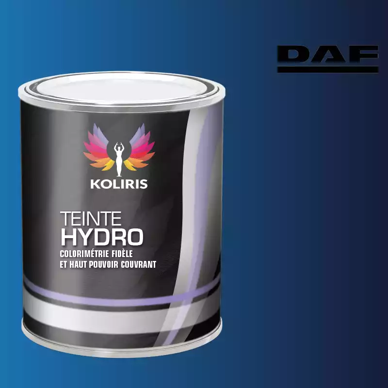 Peinture utilitaire - camion hydro Daf