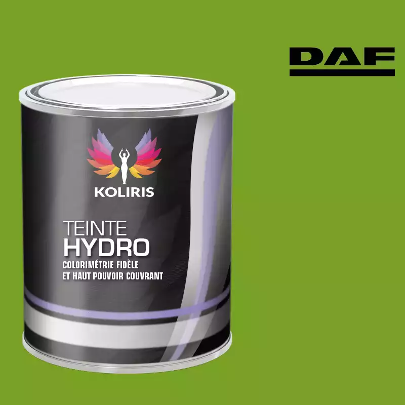 Peinture utilitaire - camion hydro Daf