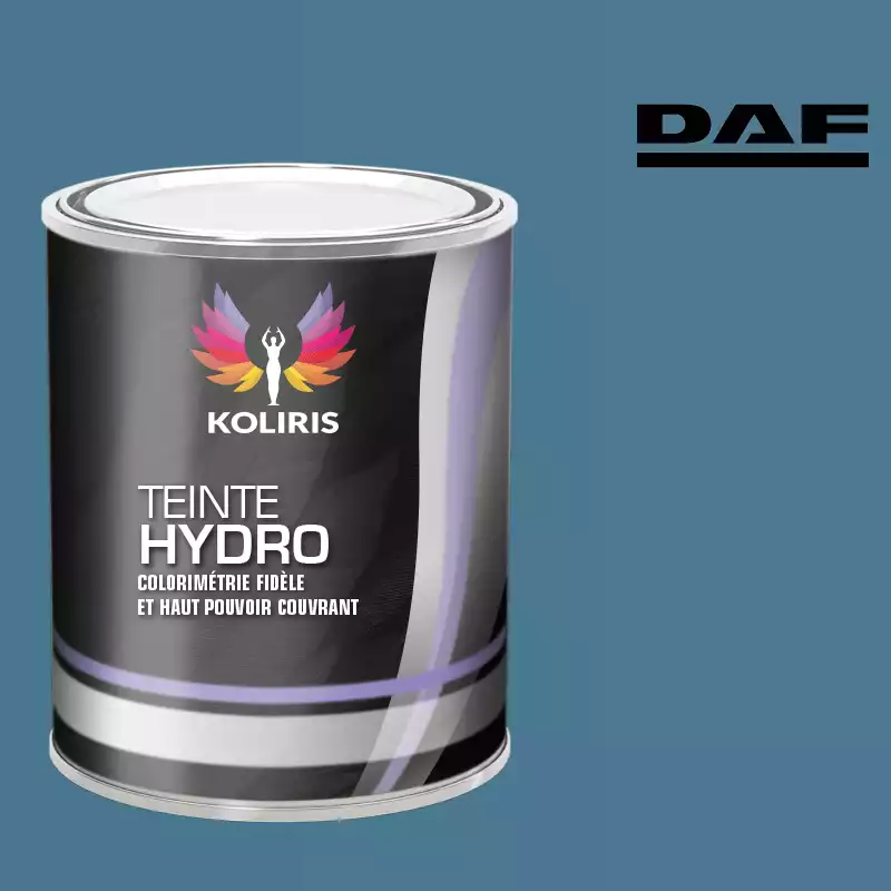 Peinture utilitaire - camion hydro Daf