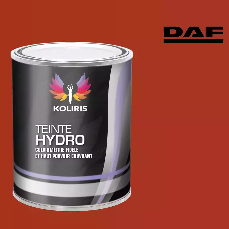 Peinture utilitaire - camion hydro Daf