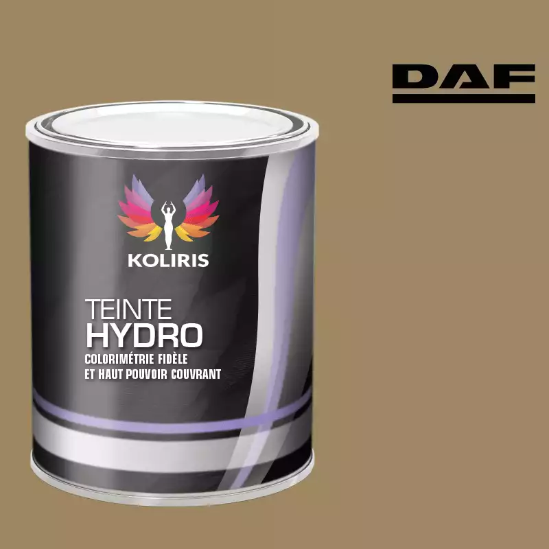 Peinture utilitaire - camion hydro Daf