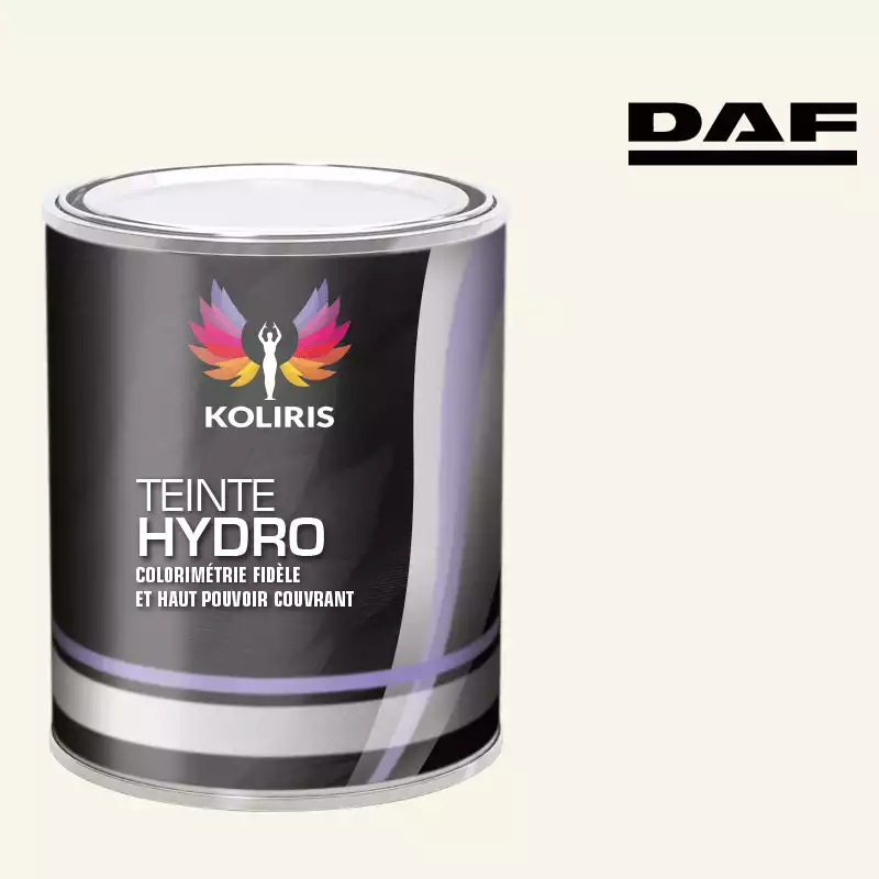 Peinture utilitaire - camion hydro Daf