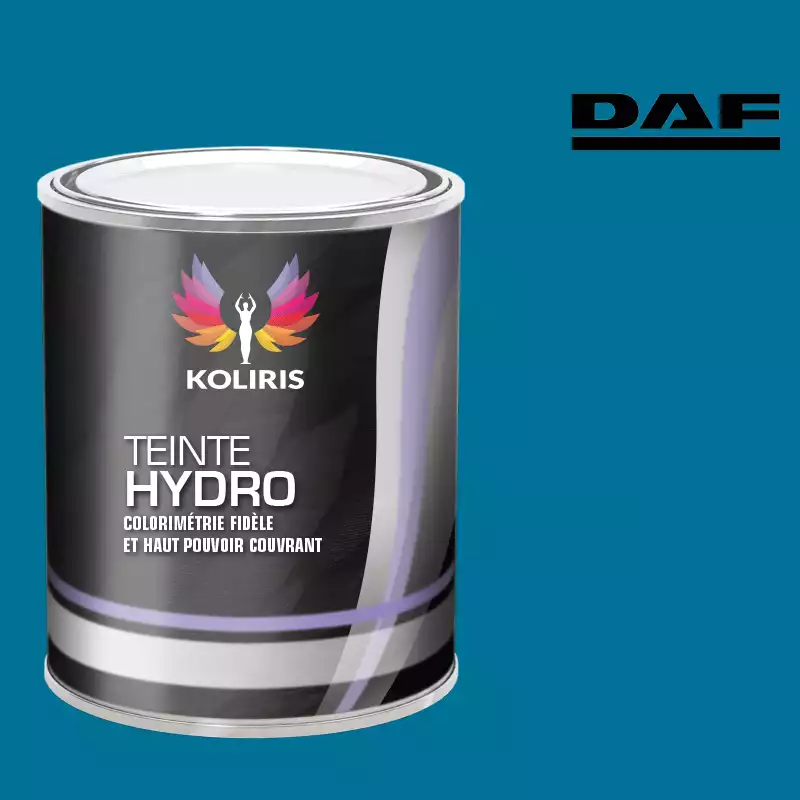 Peinture utilitaire - camion hydro Daf