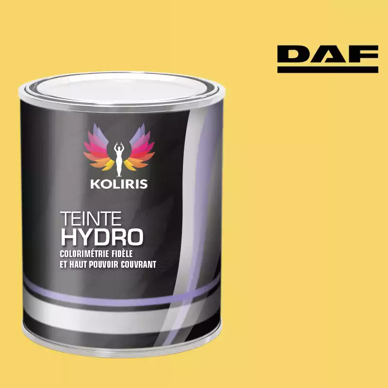 Peinture utilitaire - camion hydro Daf