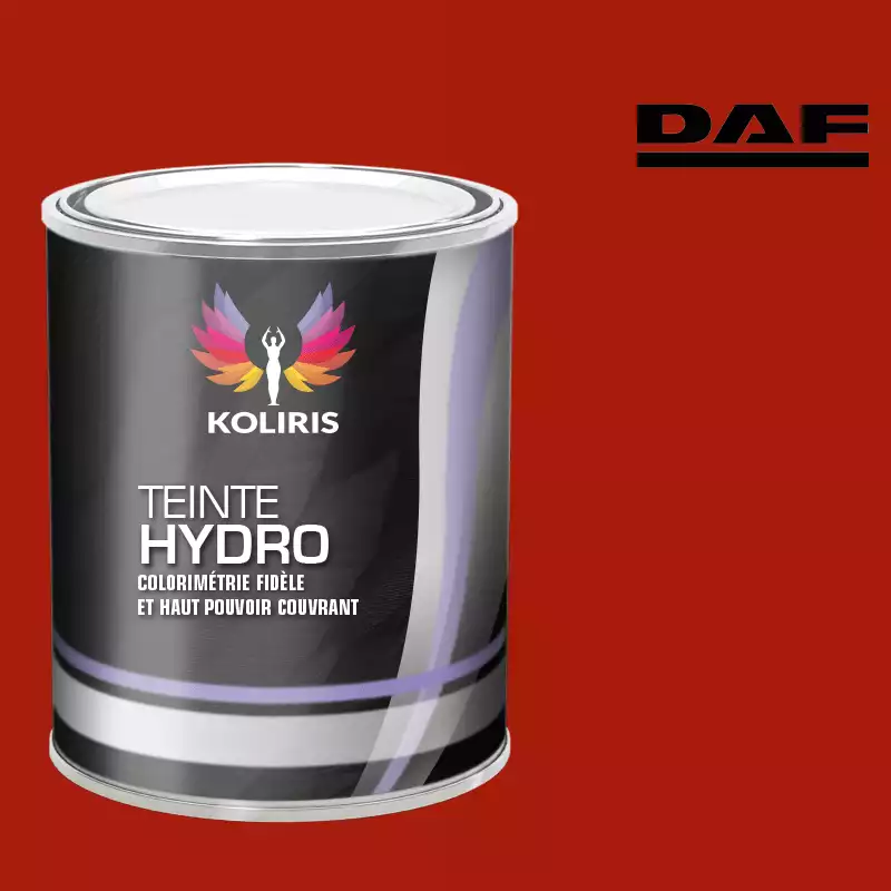 Peinture utilitaire - camion hydro Daf