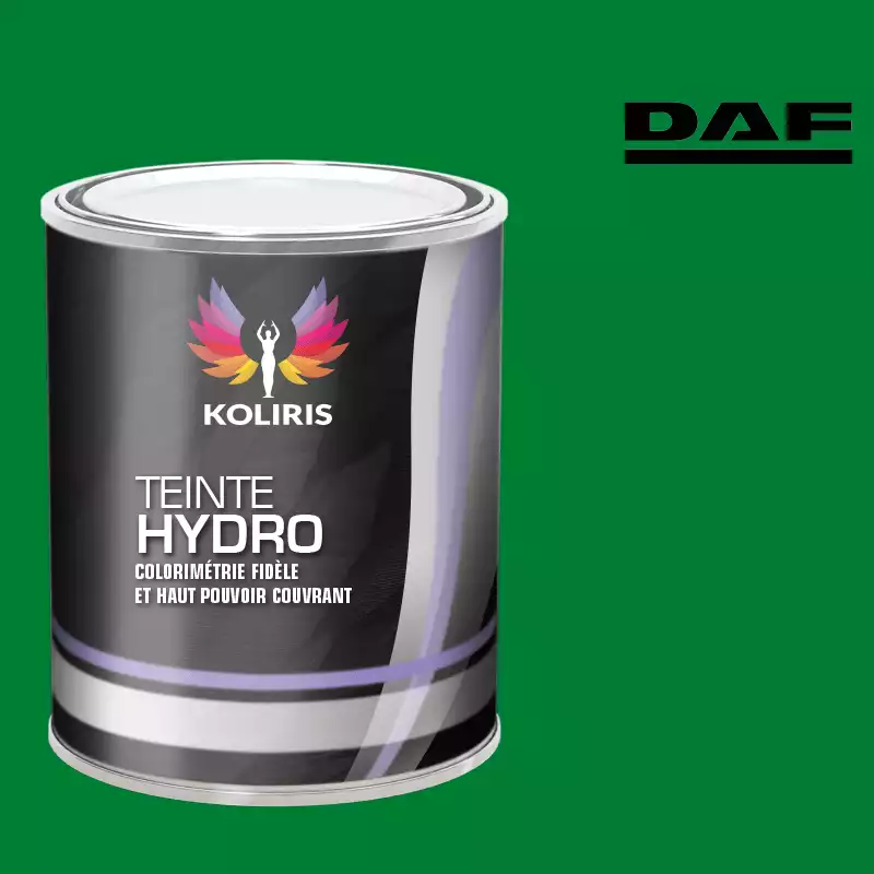 Peinture utilitaire - camion hydro Daf