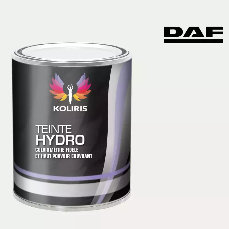 Peinture utilitaire - camion hydro Daf