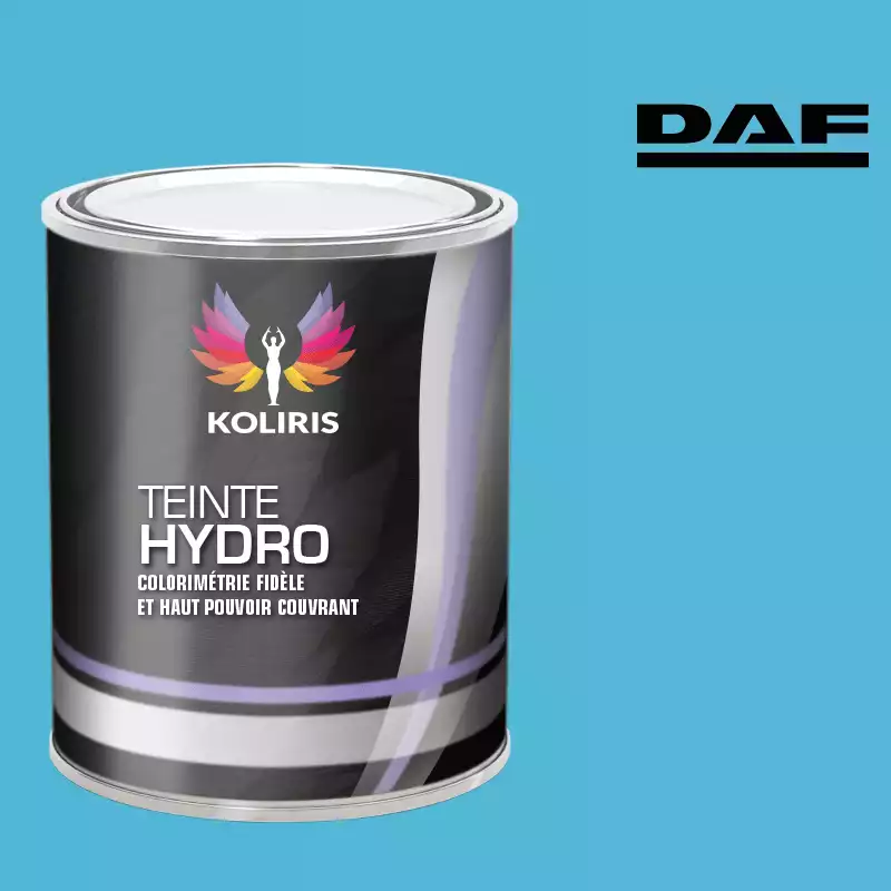 Peinture utilitaire - camion hydro Daf