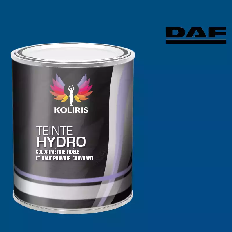 Peinture utilitaire - camion hydro Daf