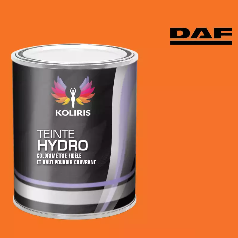 Peinture utilitaire - camion hydro Daf