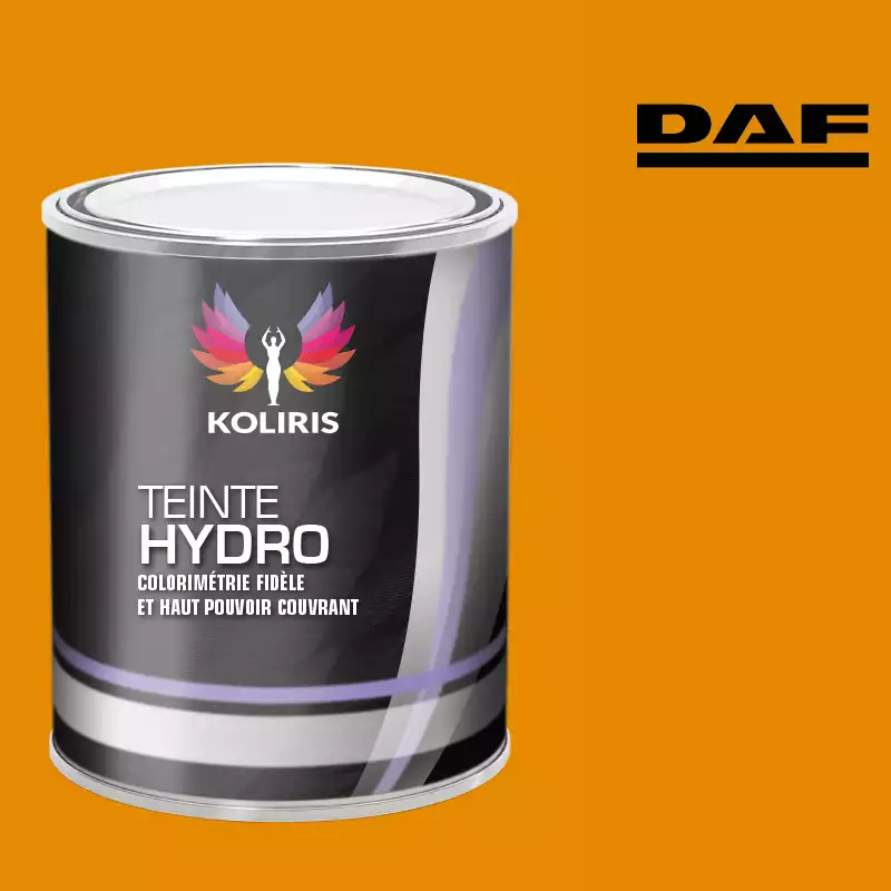 Peinture utilitaire - camion hydro Daf