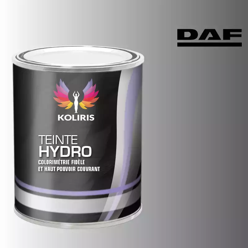 Peinture utilitaire - camion hydro Daf