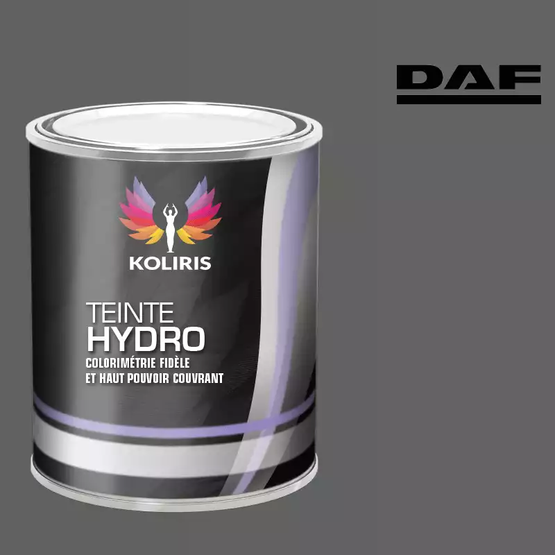 Peinture utilitaire - camion hydro Daf