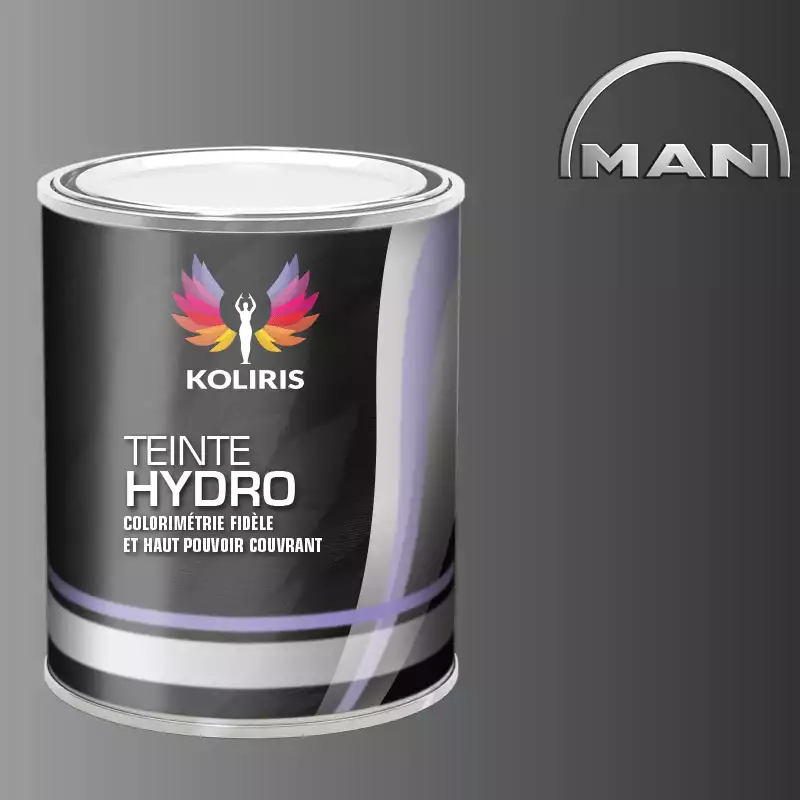 Peinture utilitaire - camion hydro Man