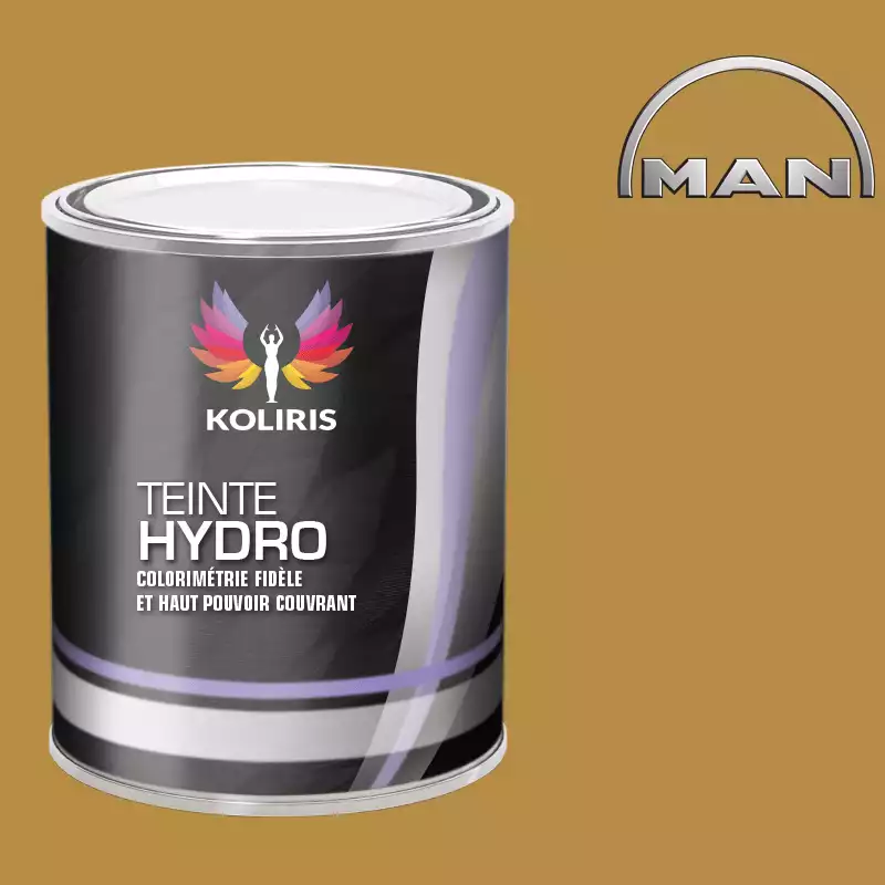 Peinture utilitaire - camion hydro Man