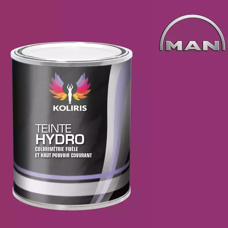 Peinture utilitaire - camion hydro Man