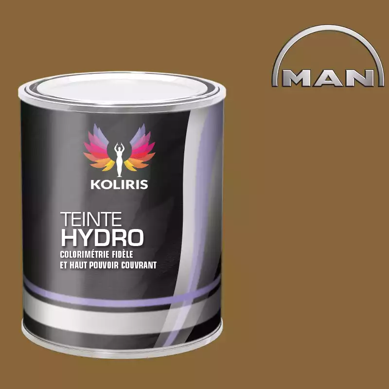 Peinture utilitaire - camion hydro Man