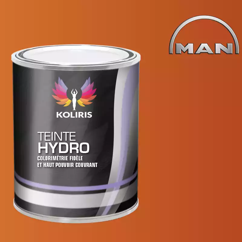 Peinture utilitaire - camion hydro Man