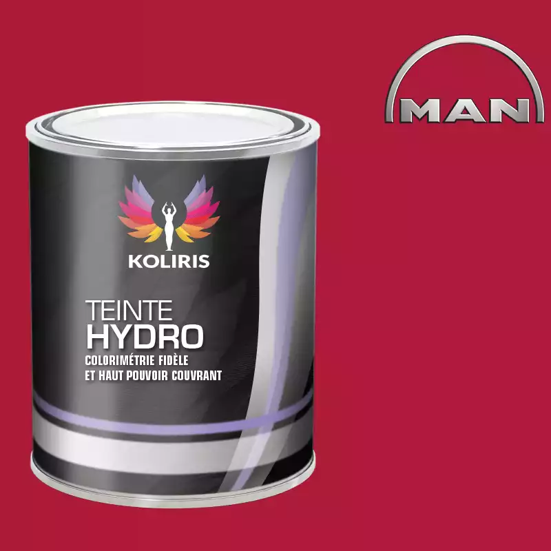 Peinture utilitaire - camion hydro Man