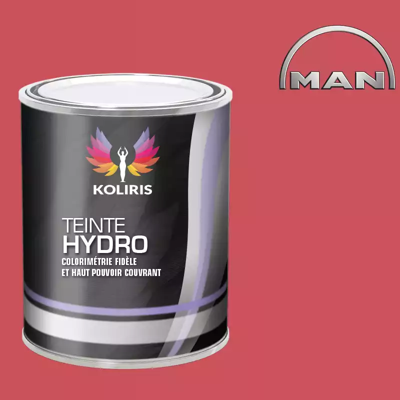 Peinture utilitaire - camion hydro Man