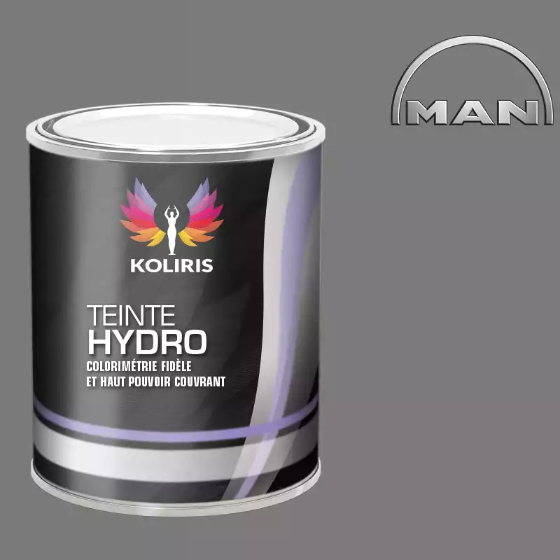 Peinture utilitaire - camion hydro Man