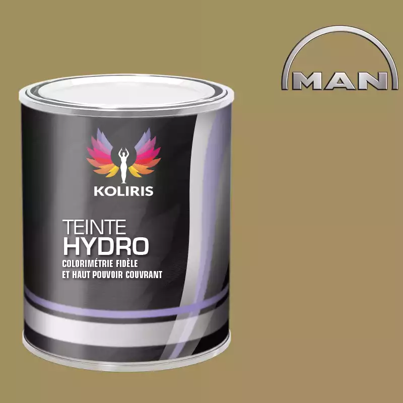 Peinture utilitaire - camion hydro Man