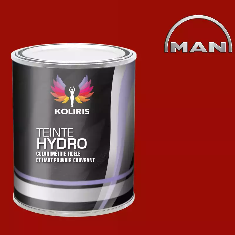 Peinture utilitaire - camion hydro Man