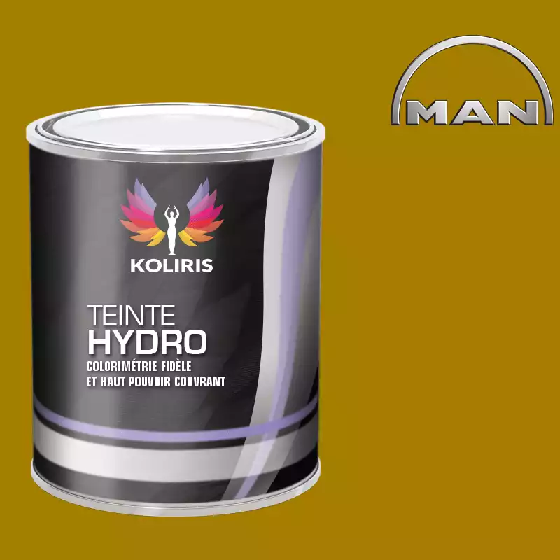 Peinture utilitaire - camion hydro Man