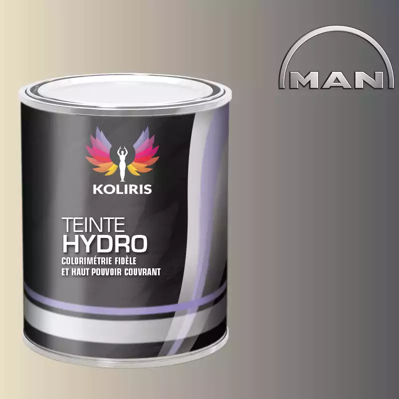 Peinture utilitaire - camion hydro Man