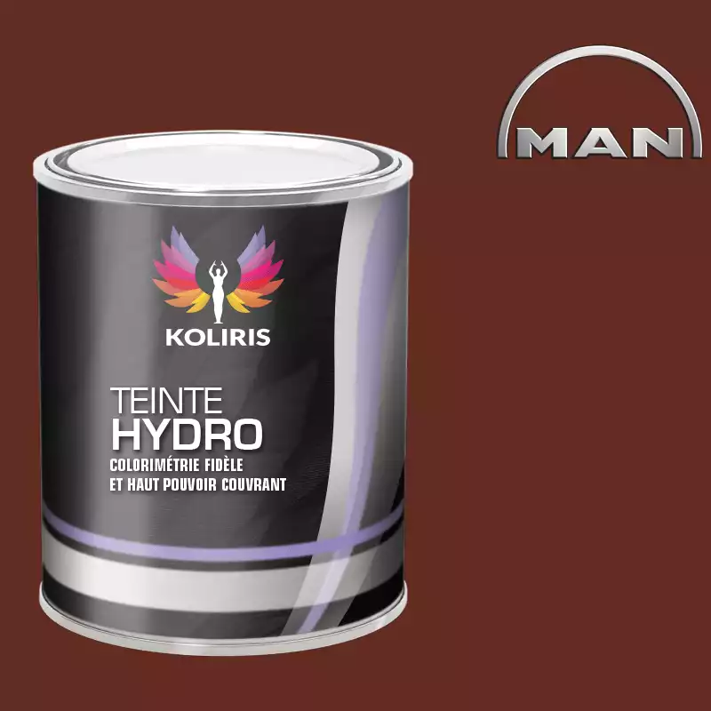 Peinture utilitaire - camion hydro Man