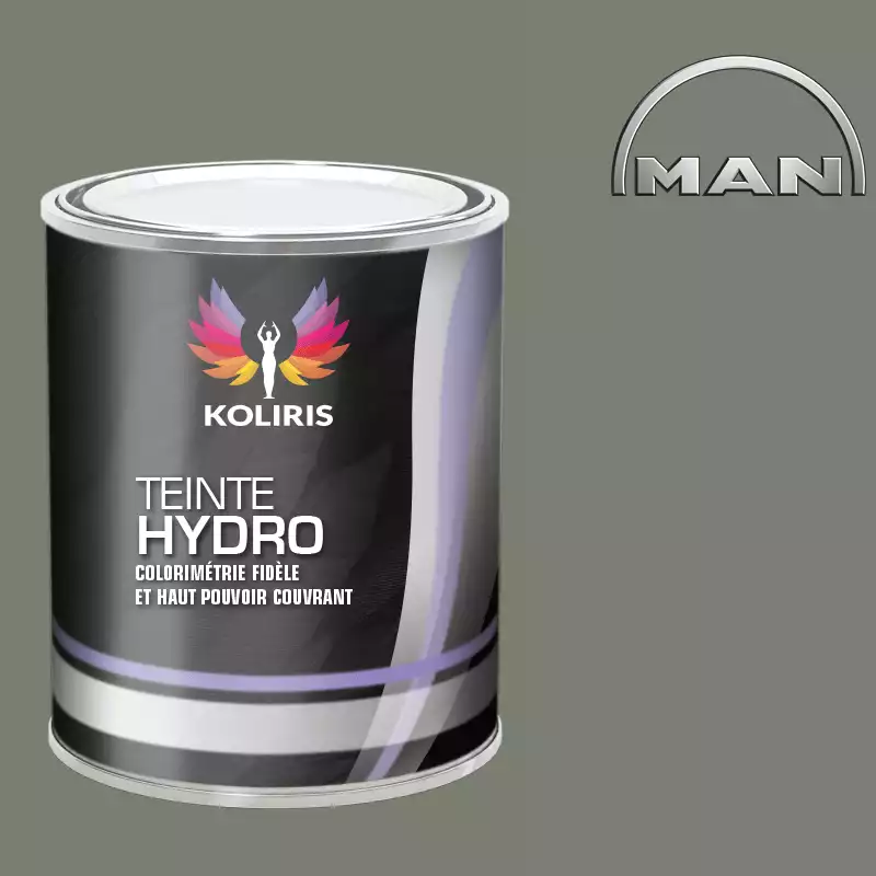 Peinture utilitaire - camion hydro Man