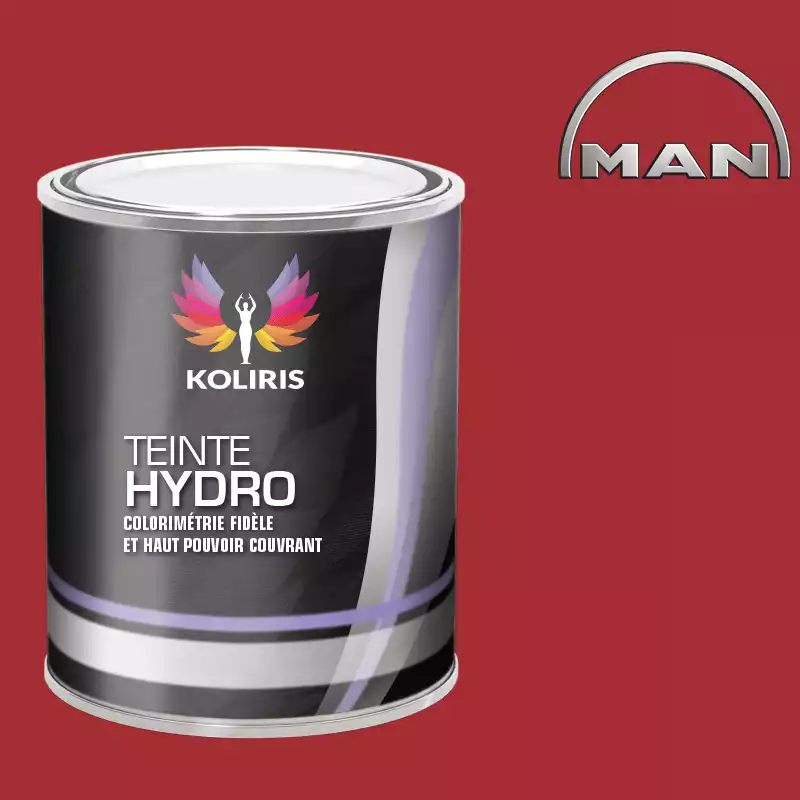 Peinture utilitaire - camion hydro Man