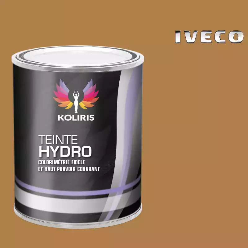 Peinture utilitaire - camion hydro Iveco