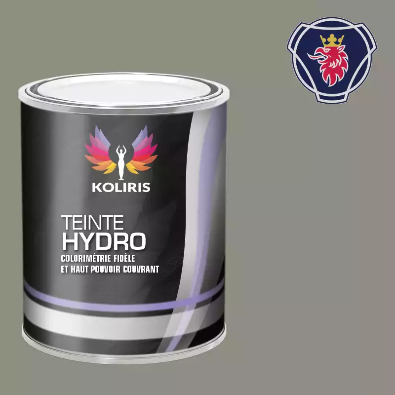 Peinture utilitaire - camion hydro Scania Vabis