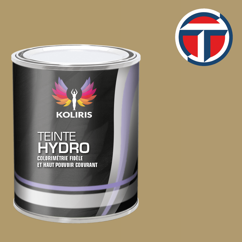 Peinture utilitaire - camion hydro Talbot